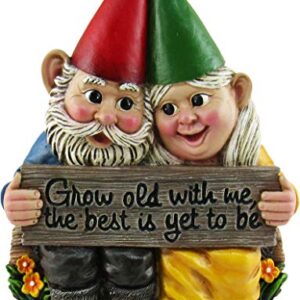 DWK - Growing Old Together - Garden Gnome Couple in Love Collectible Figurine Best Friends Lovers Romantic Statue Indoor Outdoor Garden Patio Home Décor, 5.75-inch