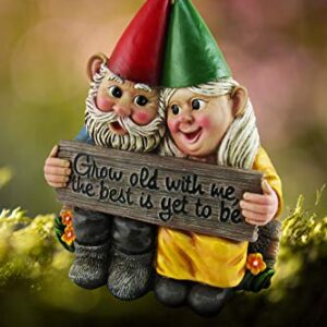 DWK - Growing Old Together - Garden Gnome Couple in Love Collectible Figurine Best Friends Lovers Romantic Statue Indoor Outdoor Garden Patio Home Décor, 5.75-inch