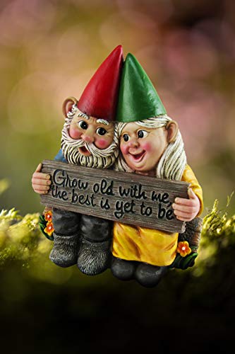 DWK - Growing Old Together - Garden Gnome Couple in Love Collectible Figurine Best Friends Lovers Romantic Statue Indoor Outdoor Garden Patio Home Décor, 5.75-inch