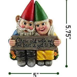 DWK - Growing Old Together - Garden Gnome Couple in Love Collectible Figurine Best Friends Lovers Romantic Statue Indoor Outdoor Garden Patio Home Décor, 5.75-inch