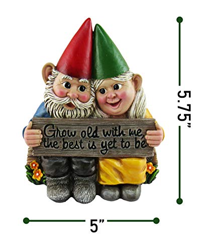 DWK - Growing Old Together - Garden Gnome Couple in Love Collectible Figurine Best Friends Lovers Romantic Statue Indoor Outdoor Garden Patio Home Décor, 5.75-inch