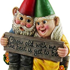 DWK - Growing Old Together - Garden Gnome Couple in Love Collectible Figurine Best Friends Lovers Romantic Statue Indoor Outdoor Garden Patio Home Décor, 5.75-inch