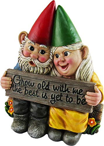 DWK - Growing Old Together - Garden Gnome Couple in Love Collectible Figurine Best Friends Lovers Romantic Statue Indoor Outdoor Garden Patio Home Décor, 5.75-inch