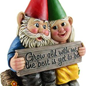 DWK - Growing Old Together - Garden Gnome Couple in Love Collectible Figurine Best Friends Lovers Romantic Statue Indoor Outdoor Garden Patio Home Décor, 5.75-inch