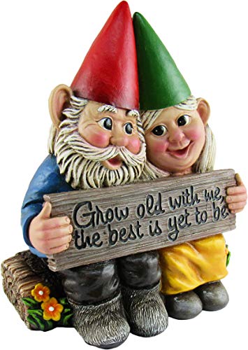 DWK - Growing Old Together - Garden Gnome Couple in Love Collectible Figurine Best Friends Lovers Romantic Statue Indoor Outdoor Garden Patio Home Décor, 5.75-inch