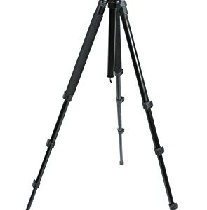 Celestron 82050 TrailSeeker Tripod (Black)