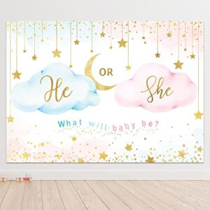 newsely he or she gender reveal backdrop 7wx5h boy or girl pink cloud what will baby be background gold stars moon cute lovely newborn party decorations banner photo booth props birthday supplies
