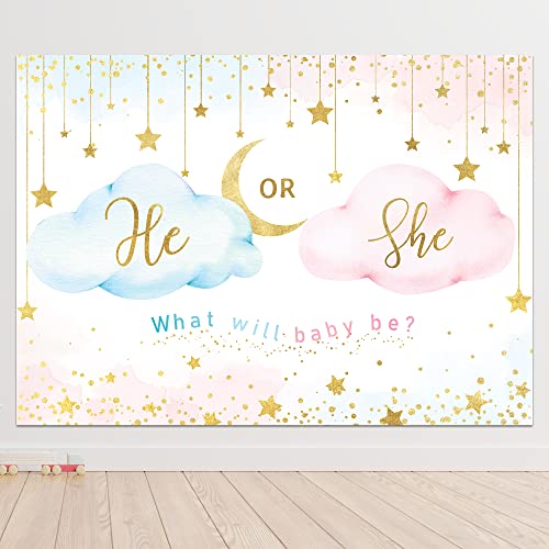 Newsely He Or She Gender Reveal Backdrop 7Wx5H Boy or Girl Pink Cloud What Will Baby Be Background Gold Stars Moon Cute Lovely Newborn Party Decorations Banner Photo Booth Props Birthday Supplies