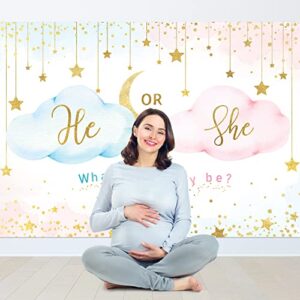 Newsely He Or She Gender Reveal Backdrop 7Wx5H Boy or Girl Pink Cloud What Will Baby Be Background Gold Stars Moon Cute Lovely Newborn Party Decorations Banner Photo Booth Props Birthday Supplies