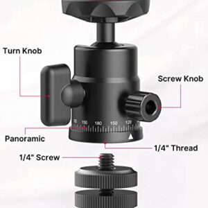 Mini Ball Head, ULANZI H28 Panoramic Tripod Head + Dual Hot Shoe Mount DSLR Camera Mount Adapter Photograph Attachment Accessories for Gopro Cam Camcorder Smartphone Light Microphone Loading 5.5lb