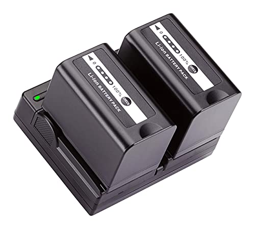 BM Premium 2 VW-VBD58 Batteries and Dual Bay Charger for Panasonic AG-VBR59, BGH1, HC-X1, HC-X1500, HC-X2000, AG-CX10, AG-CX350, AG-UX180, AG-AC30, AG-UX90, AG-DVX200, HC-MDH3E, AJ-PX270, AJ-PX230