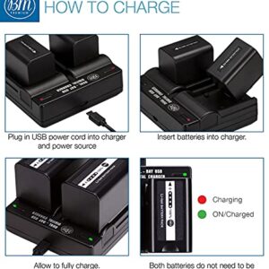 BM Premium 2 VW-VBD58 Batteries and Dual Bay Charger for Panasonic AG-VBR59, BGH1, HC-X1, HC-X1500, HC-X2000, AG-CX10, AG-CX350, AG-UX180, AG-AC30, AG-UX90, AG-DVX200, HC-MDH3E, AJ-PX270, AJ-PX230