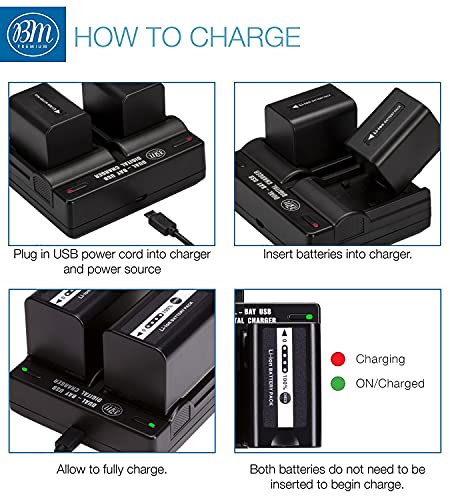 BM Premium 2 VW-VBD58 Batteries and Dual Bay Charger for Panasonic AG-VBR59, BGH1, HC-X1, HC-X1500, HC-X2000, AG-CX10, AG-CX350, AG-UX180, AG-AC30, AG-UX90, AG-DVX200, HC-MDH3E, AJ-PX270, AJ-PX230