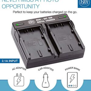 BM Premium 2 VW-VBD58 Batteries and Dual Bay Charger for Panasonic AG-VBR59, BGH1, HC-X1, HC-X1500, HC-X2000, AG-CX10, AG-CX350, AG-UX180, AG-AC30, AG-UX90, AG-DVX200, HC-MDH3E, AJ-PX270, AJ-PX230