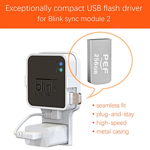 256GB Blink USB Flash Drive and Blink Outdoor Camera Mount, 3 Pack Camera Housing and 360° Adjustable Mounting Bracket with Blink Sync Module 2 Mount(Blink Camera and Module are Not Included)