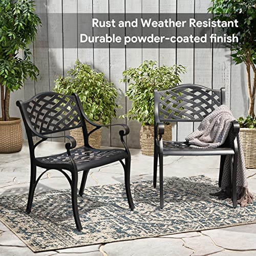 Verano Garden Outdoor Dining Chair Set of 4 Patio Chairs Set,All Weather Cast Aluminum Patio Chair Set with Cushion and Armrest