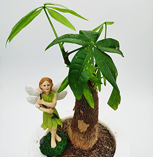 JIUMO Fairy Garden Fairies Outdoor Miniature Garden Fairy Set of 2 Boy Fairies Figurines Small Little Tiny Miniature Forest Fairies Ornaments Fairy Garden Accessories