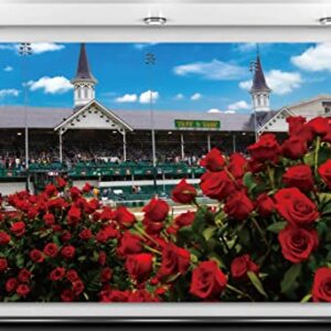 Kentucky Derby Photo Booth Backdrop Churchill Downs Horse Racing Rose Indoor Outdoor Party Photography Home Wall Background Decoration (5.9×3.6ft)