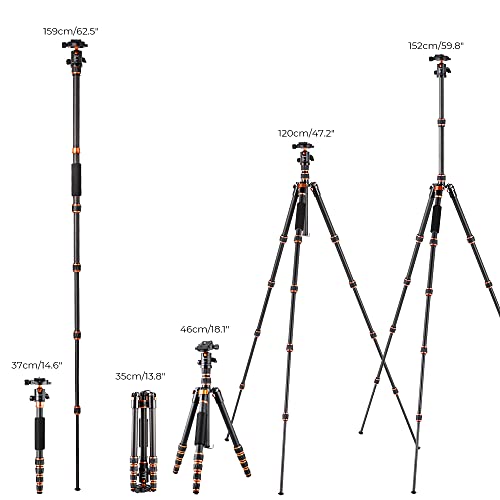 K&F Concept 60 inch Carbon Fiber Camera Tripod,Super Lightweight Compact Travel Tripod with 360 Degree Ball Head,Quick Release Plate,Detachable Monopod 8KG Load Capacity for SLR DSLR C225C0 (BA225)