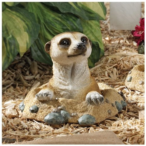 Design Toscano QL57081 Out of the Kalahari Meerkat Garden Animal Statue, 10 Inch, Polyresin, Full Color