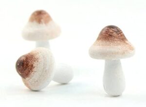 meyer imports mini wooden mushroom decoration (6 piece) – miniature mushrooms for fairy garden art/crafts/dollhouse/figurines decor – natural