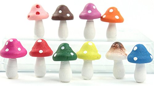 Meyer Imports Mini Wooden Mushroom Decoration (6 Piece) - Miniature Mushrooms for Fairy Garden Art/Crafts/Dollhouse/Figurines Decor - Natural