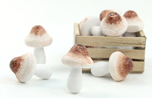 Meyer Imports Mini Wooden Mushroom Decoration (6 Piece) - Miniature Mushrooms for Fairy Garden Art/Crafts/Dollhouse/Figurines Decor - Natural