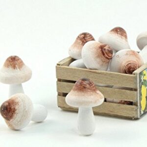 Meyer Imports Mini Wooden Mushroom Decoration (6 Piece) - Miniature Mushrooms for Fairy Garden Art/Crafts/Dollhouse/Figurines Decor - Natural