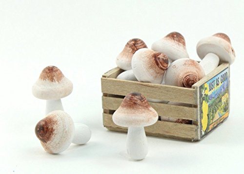 Meyer Imports Mini Wooden Mushroom Decoration (6 Piece) - Miniature Mushrooms for Fairy Garden Art/Crafts/Dollhouse/Figurines Decor - Natural