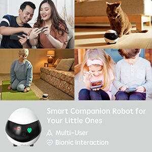 Enabot Pet Camera Home Security Camera,Movable Indoor WiFi Cam,2 Way Talk,Night Vision,1080P Video, Self Charging Rechargeable Wireless Camera for Pet/Baby/Elderly