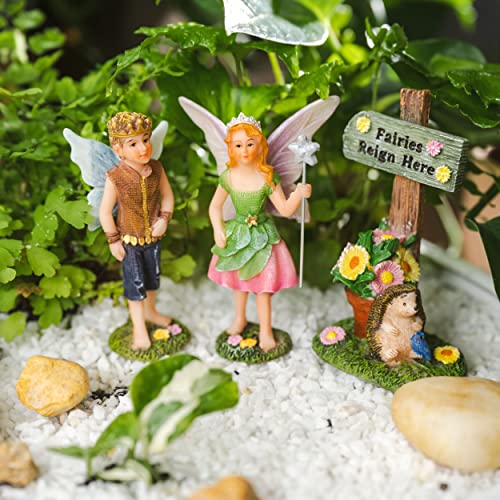 PRETMANNS Fairy Houses for Fairy Gardens - an Adorable Fairy Garden Castle with Outdoor Fairy Garden Accessories - Fairy House & Fairies for Fairy Garden - Fairy House Kit & Prince & Princess Fairies