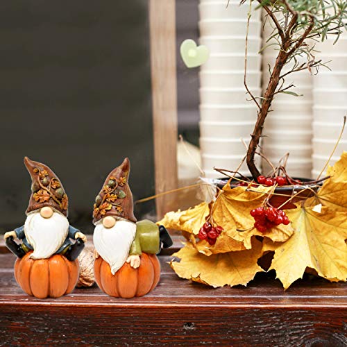 Thanksgiving Pumpkin Garden Gnome Figurines with White Beard Set of 2 for Home Garden Lawn Outdoor Fairy Statue Decoration Holiday Yard Decor