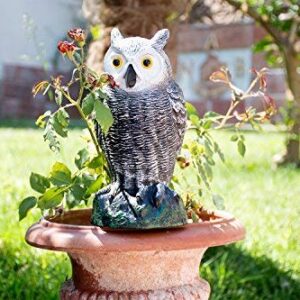 BRITENWAY Ultimate Scarecrow Owl Decoy Statue Realistic Fake Owl Outdoor Bird Deterrent, Hand-Painted Garden Protector, Scares Away Squirrels, Pigeons, Rabbits & More 10,5” Hollow Design