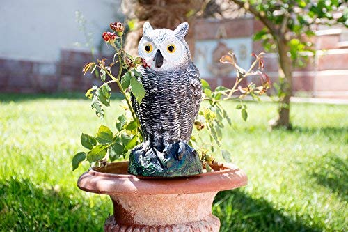 BRITENWAY Ultimate Scarecrow Owl Decoy Statue Realistic Fake Owl Outdoor Bird Deterrent, Hand-Painted Garden Protector, Scares Away Squirrels, Pigeons, Rabbits & More 10,5” Hollow Design