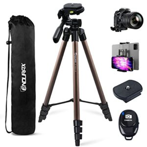 endurax 60” tripod for camera canon nikon dslr, camera phone tripod with universal holder, carry bag, max. load 6.6 lbs