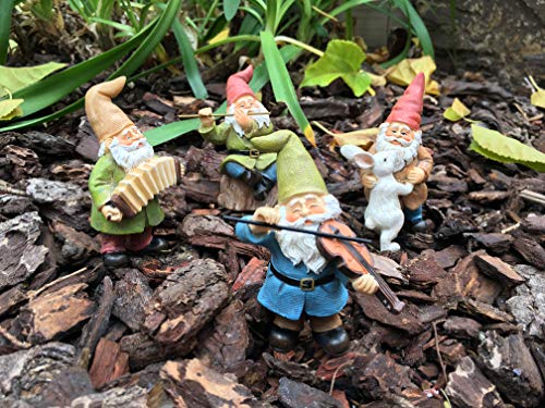 GlitZGlam Happy Gnomes Dancing Celebration! - 4- Piece Musical Garden Gnome Set for The Miniature Fairy Garden