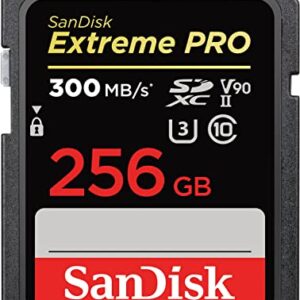 SanDisk 256GB Extreme PRO SDXC UHS-II Memory Card - C10, U3, V90, 8K, 4K, Full HD Video, SD Card - SDSDXDK-256G-GN4IN