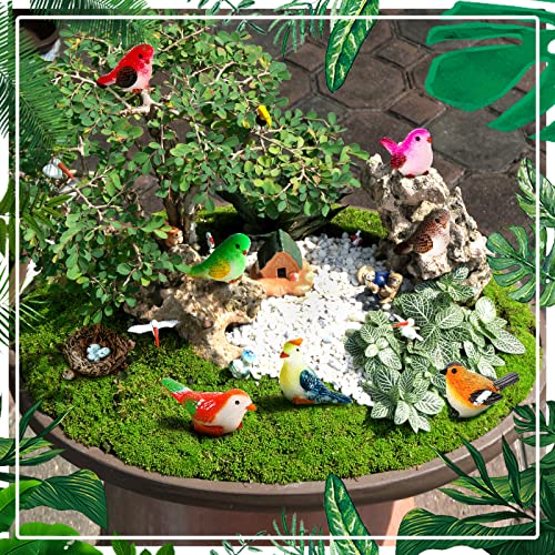 25 Pcs Miniature Bird Figurines Tiny Bird Figurines Mini Fairy Animal Figurines Resin Birds Toy Statues for Garden Micro Landscape Home Terrarium Crafts Cake Cupcake Toppers Dollhouse Decorations