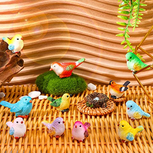 25 Pcs Miniature Bird Figurines Tiny Bird Figurines Mini Fairy Animal Figurines Resin Birds Toy Statues for Garden Micro Landscape Home Terrarium Crafts Cake Cupcake Toppers Dollhouse Decorations