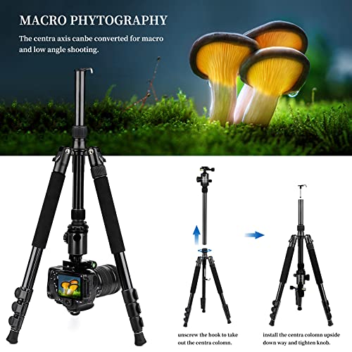 VICTIV 78" Tripod Camera Tripod, Tall Heavy Duty Tripods & 81" Monopods for DSLR Binoculars Laser Level, Professional Aluminum Tripod Stand with Ball Head, Compatiable with Canon Nikon Sony Cameras