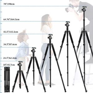 VICTIV 78" Tripod Camera Tripod, Tall Heavy Duty Tripods & 81" Monopods for DSLR Binoculars Laser Level, Professional Aluminum Tripod Stand with Ball Head, Compatiable with Canon Nikon Sony Cameras
