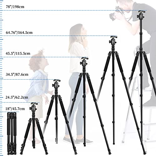 VICTIV 78" Tripod Camera Tripod, Tall Heavy Duty Tripods & 81" Monopods for DSLR Binoculars Laser Level, Professional Aluminum Tripod Stand with Ball Head, Compatiable with Canon Nikon Sony Cameras