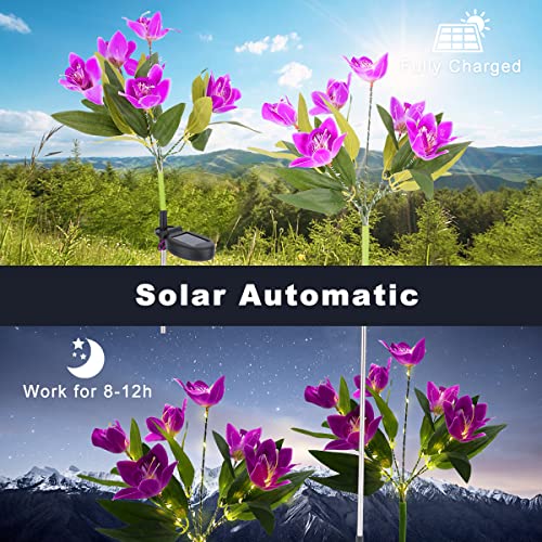 ALANAS Outdoor Solar Decorate Light, 2 Pack Dendrobium Orchid Garden Stake Lights with 7 Flowers, Waterproof LED Solar Powered Lights for Patio, Pathway, Courtyard, Garden Law.