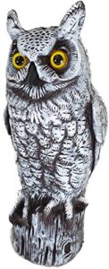 dalen fake owl decoy to scare birds away from gardens, rooftops, and patios – scarecrow provides chemical-free pest control – safe and humane, 16″ great horned owl – snow white