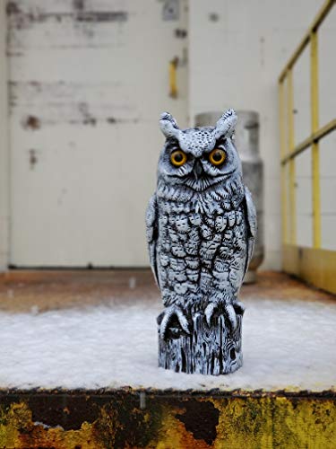 Dalen Fake Owl Decoy to Scare Birds Away from Gardens, Rooftops, and Patios - Scarecrow Provides Chemical-Free Pest Control - Safe and Humane, 16" Great Horned Owl - Snow White