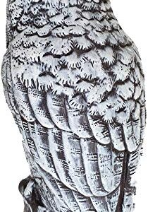 Dalen Fake Owl Decoy to Scare Birds Away from Gardens, Rooftops, and Patios - Scarecrow Provides Chemical-Free Pest Control - Safe and Humane, 16" Great Horned Owl - Snow White