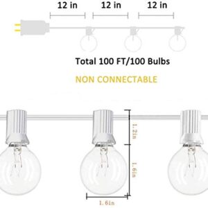 Romasaty G40 100FT Globe String Lights with 102 Clear Bulbs Indoor Outdoor Patio, Market, Cafe, Garden, Birthday, Wedding Backyard String Lights-5 Watt/120 Voltage/E12 Base -White Wire