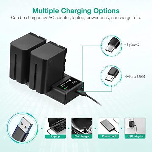 FirstPower 2 Pack NP-F970 Batteries and USB Dual Charger for Sony NP-F970 F960 F950 F930 F750 F570 F550 F530 F330 Battery and Sony Handycams, CCD-SC55 TR516 TR716 TR818 TR910 TR917