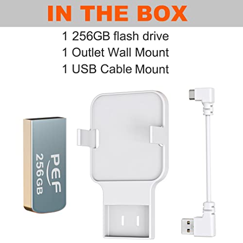 256GB Blink USB Flash Drive for Local Video Storage and The Outlet Mount for Blink Sync Module 2(Blink Add-On Sync Module 2 Itself is NOT Included)