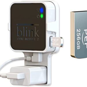 256GB Blink USB Flash Drive for Local Video Storage and The Outlet Mount for Blink Sync Module 2(Blink Add-On Sync Module 2 Itself is NOT Included)